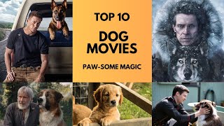 Top 10 Best Dog Movies  Main Character  Must Watch List [upl. by Hamilah400]