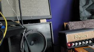 bogner mini ecstasy amp first tones [upl. by Nevar]