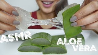 ASMR ALOE VERA CHALLENGE  Soft Sticky Crunchy SOUNDS NE Lets Eat [upl. by Janene]