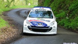 Caméra embarquée Stéphane et Léa Pustelnik  Rallye de la Suisse Normande 2014 [upl. by Asille47]