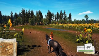 Windstorm Start of a Great Friendship  Remastered Gameplay PC UHD 4K60FPS [upl. by Alimhaj]