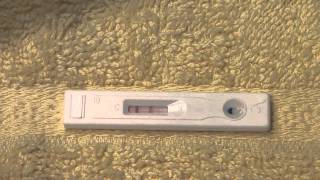 Live Pregnancy Test  POSITIVE from a dollar store99 Cents store brand [upl. by Marlena]