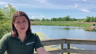 MSU Tollgate Farm Worms and the Nutrient Cycle [upl. by Nawud886]