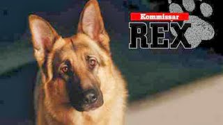 🐕MÚSICA🎵 DE SERIE quotCOMISARIO REXquot🎶📺🐕👌 [upl. by Atsev]