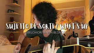 SUJEITO DE SORTE WHAT’S UP  Belchior 4 Non Blondes Cover de AMARINA [upl. by Akihsan]