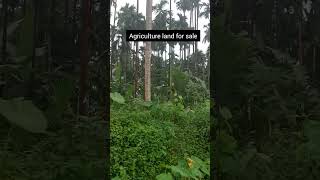 ➡️ Agriculture land Available for sale near bantwal moodbidri vagga Melkar➡️ 1 acre to 50 acres [upl. by Assirual448]