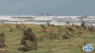 15 Second Science  Living Shorelines [upl. by Tati]