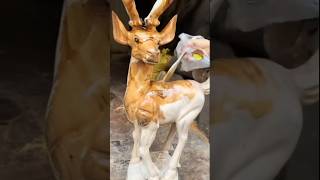 wooden deer statue woodmade furniture woodenfurnituremaking [upl. by Keyes846]