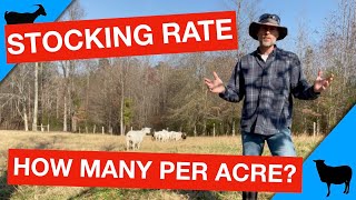 How Many Goats or Sheep Per Acre [upl. by Romito]