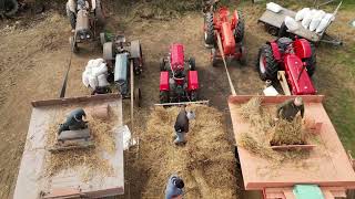 Warrenpoint amp Burren Vintage Threshing Lawsons Farm Sept 2024 short version [upl. by Ennaerb]