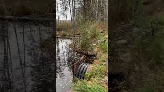 New storm drain exciting scary stormwaterdrain exercise abandoned stormdrain explore funny [upl. by Heather]