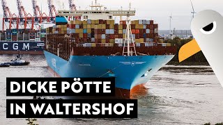 400 m Containerschiff Shipspotting in Waltershof ⚓️ Hamburg Hafen Live [upl. by Ahsinrad]