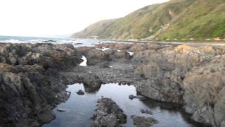 Pukerua Bay New Zealand [upl. by Sanfourd]