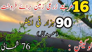 Land For Sale 400 Acer Agriculture Land For Sale in Punjab Pakistan  Zarai Zameen For Sale [upl. by Negam]