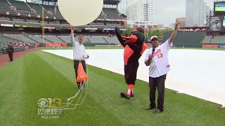 WJZ Orioles Host 11th Annual Weather Day At Camden Yards [upl. by Atnicaj]