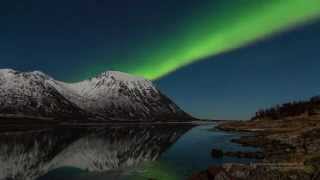 Northern Lights in Lofoten  Aurora Borealis in the Lofoten Islands Norway [upl. by Draner]