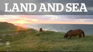 Land amp Sea Sable Island [upl. by Fredenburg]