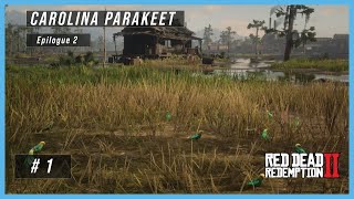 Spawning and Hunting Carolina Parakeets in Epilogue 2 [upl. by Ambrosius]