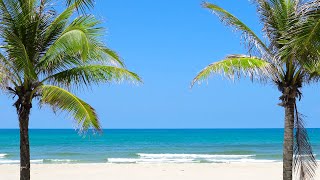 Tropical Beach with Ocean Sounds Palm Trees and Natural Landscape for Sleep amp Relax [upl. by Suivatnod]