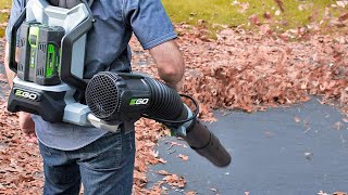 The Best Backpack Leaf Blowers of 2024 [upl. by Deyas]