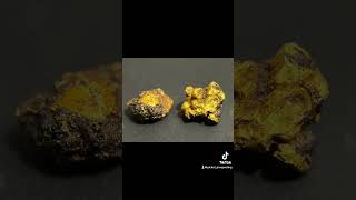 Gold specimens from the weekend Photos taken with a macro lens gold [upl. by Eiramac295]