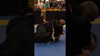 Mighty Mouse Demetrious Johnson Competing in Jiu Jitsu bjj cbjj ibjjf jiujitsu [upl. by Gnet381]