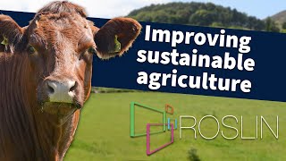 Improving sustainable agriculture [upl. by Cirred]