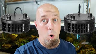 Could These Be The BEST Aquarium LIGHTS Kessil A360X Tuna Sun LEDS For Fish Tanks Planted Aquarium [upl. by Anawik]