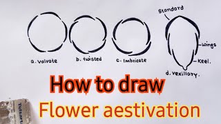 aestivation diagram of flower ।How to draw aestivation of flower। [upl. by Quirita]