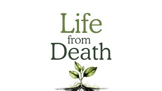 A Conversation With Jerry Sittser Part 2  A Grace Disguised  Life from Death series [upl. by Ashlie]