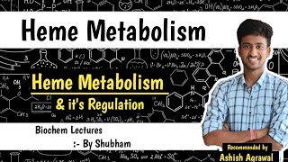 Heme Synthesis and Its Regulation Heme Metabolism  Biochemistry Lectures [upl. by Arabele]