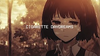 cigarette daydreams  cage the elephant tiktok version [upl. by Erdah991]