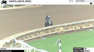 Work of the Day at Santa Anita Park Nooni worked 5 Furlongs in 5960 on October 17th 2024 [upl. by Niroht]