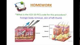 Lesson 10  Root Operation Extirpation  Homework Review [upl. by Leopoldine]