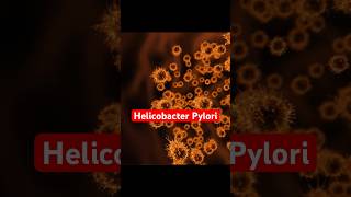 Do You Have Helicobacter Pylori  Symptoms Of Hpylori gastritis helicobacterpylori shorts [upl. by Nahtad878]