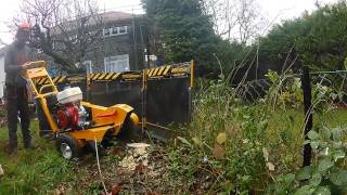 Predator 360 Tree Stump Grinder In Action [upl. by Weissmann]