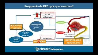 Doença renal crônica [upl. by Johannessen]