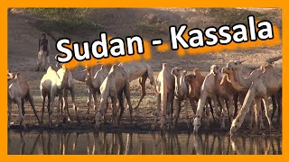 Sudan  Kassala [upl. by Otipaga951]