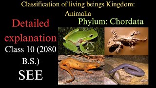 SEE Unit2 Classification of living beings Part5 Phylum Chordata [upl. by Veta]