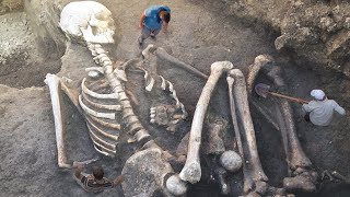 BIGGEST Real Life Skeletons Unearthed [upl. by Hayton]