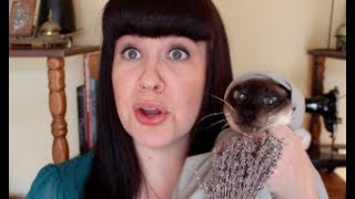 Ask a Mortician Pet Death [upl. by Benil38]