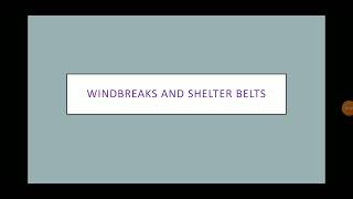 windbreaks and shelter belts  Hindi Explanation [upl. by Rollo]