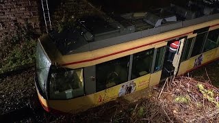 SBahn fährt in umgestürzten Baum bei Walzbachtal am 08022016 [upl. by Hafinah]