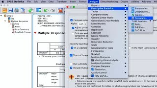 SPSS How To Perform Quantitative Data Analyses For Bachelors Research 5 Basic Analysis Methods [upl. by Ing479]