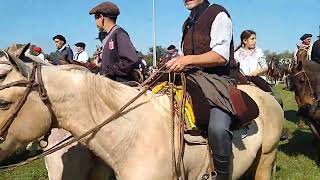 Cabalgando a quotLa Fiesta del Talar  2024quot desde la rotonda de Madariaga [upl. by Hilel]