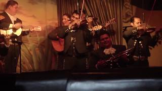 Mexican Mariachi Song by Mariachi Voces de Mexico [upl. by Deryl]