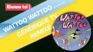 Hubert Ballay  WattooWattoo Version revisitée [upl. by Epotimet948]