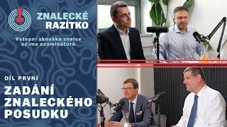 ZNALECKÉ RAZÍTKO  1 Zadání znaleckého posudku [upl. by Kubetz]