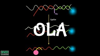 Oligonucleotide Ligation Assay  OLA Assay [upl. by Nueoras]