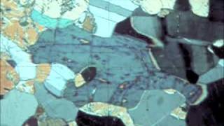 Optical Mineralogy hornblende inclined extinction plagioclase [upl. by Keven]